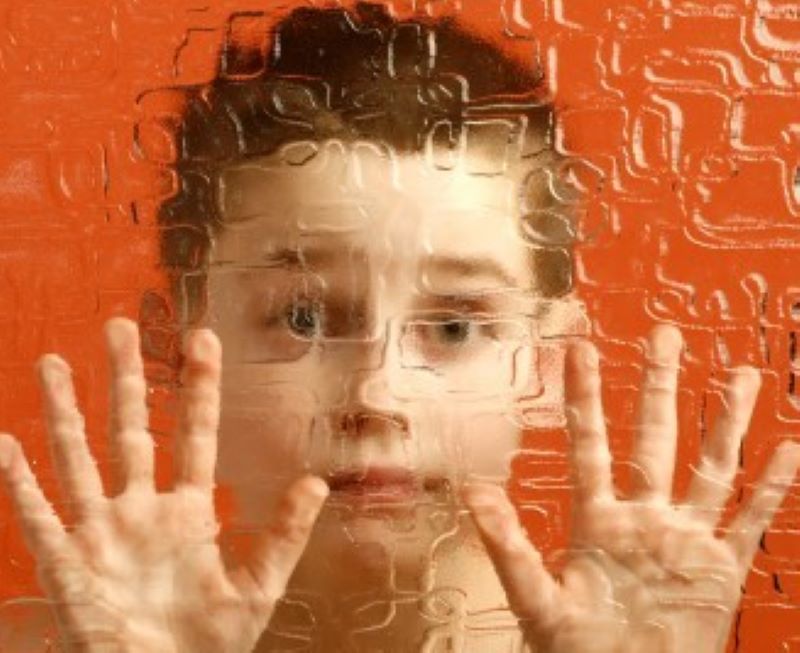 Autism: Insights From the Study of the Social Brain