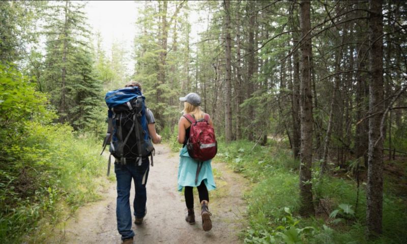 If Meditation Is Not Your Thing, Try A Walk In The Woods