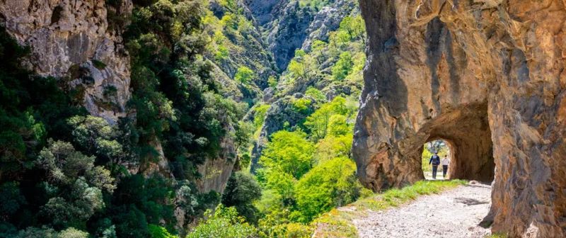 Why Walking Through The Countryside ‘Tames’ Our Brain