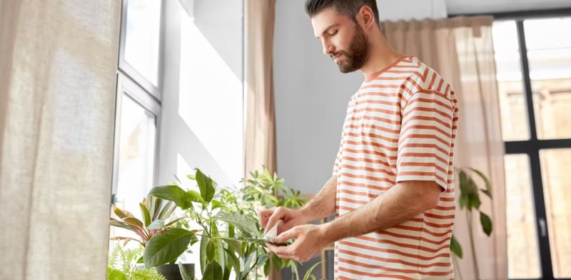 Houseplants Can Give Your Mental Health A Boost