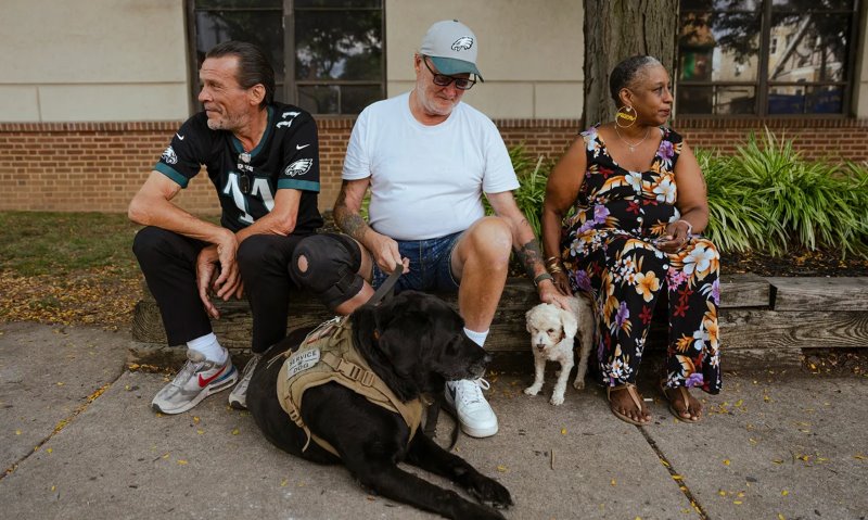 How Pet-Friendly Homeless Shelters Heal