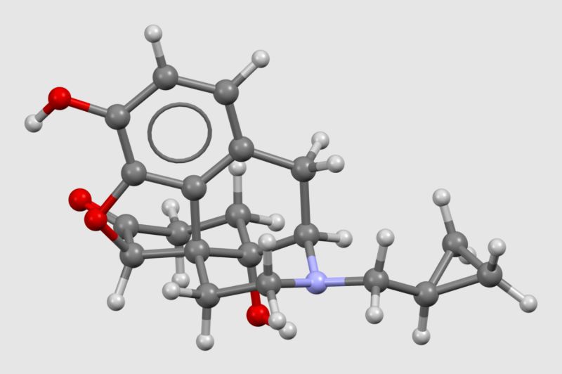 Drug Addiction, Social Connection, and the Brain