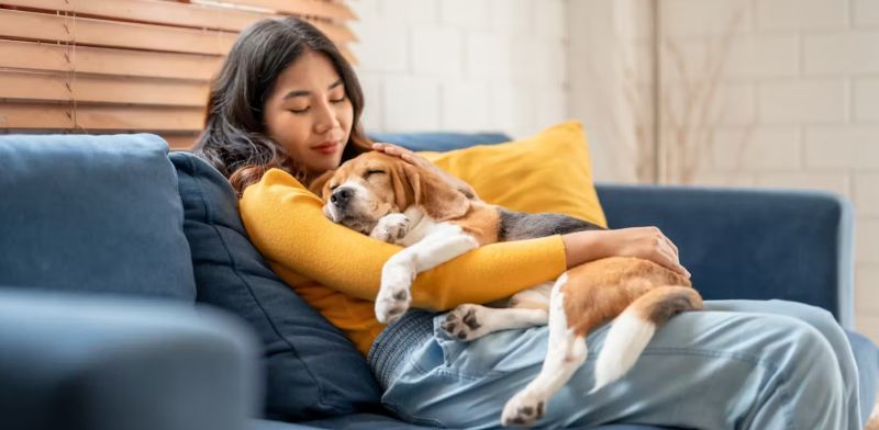 Why Mental Health Professionals Should Ask Questions About Pets