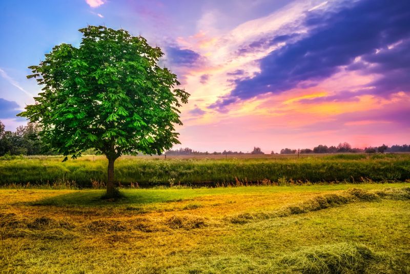 How Awe Walks Helped My Students Slow Down