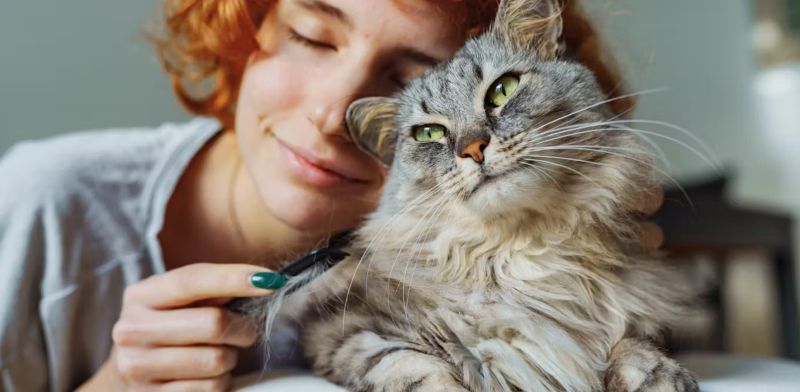 Do Cats Make Good Therapy Animals?
