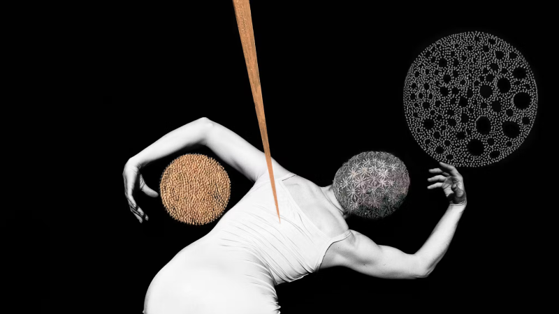 Being Trans in the World of Sex Work
