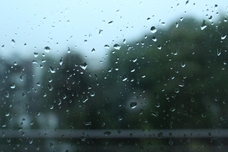 Why Rainy Days Feel So Comforting