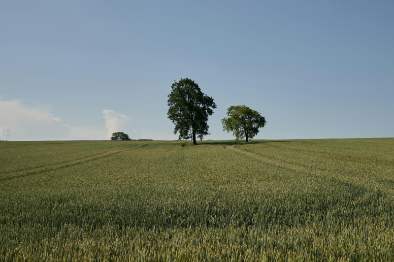 The End-Of-Summer Blues: Why This Time of Year Feels So Heavy