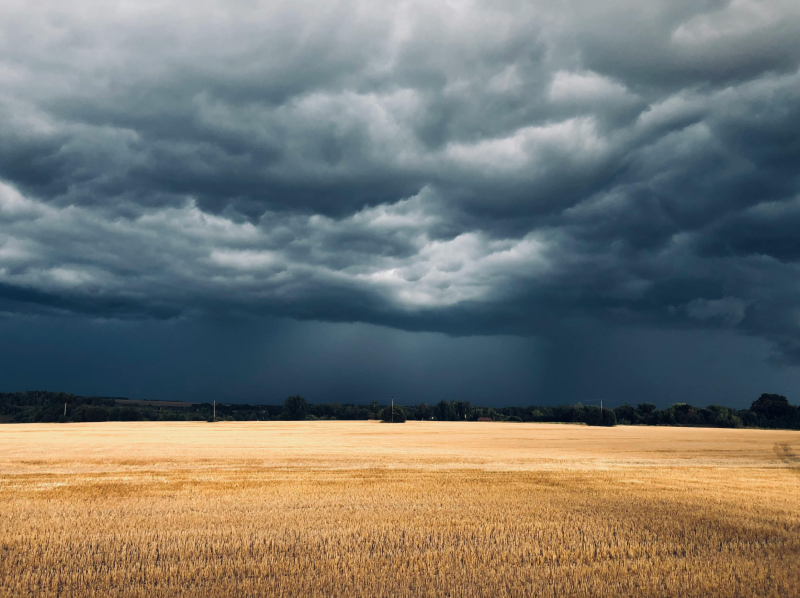Thunderstorm Minds: Why Storms Calm Some and Unsettle Others