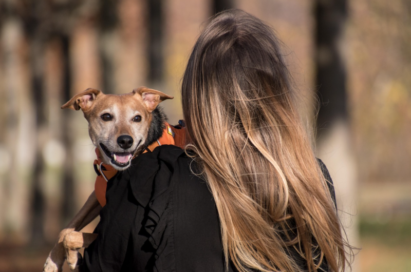 When You Love Your Dog More than Most People (And That’s Okay)