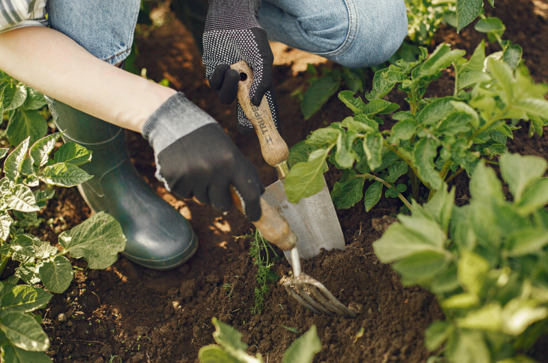 Creating a Peaceful Garden Space at Home